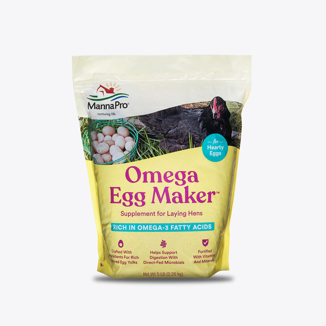 How do they online make omega 3 eggs